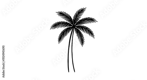 Two stylized palm trees with full fronds stand vertically as a simple black silhouette against a solid white background for tropical design.