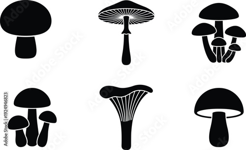 Collection of Minimalist Mushroom Vector Icons Featuring Different Fungi Species and Silhouettes for Nature Cooking Science and Forest Graphic Design