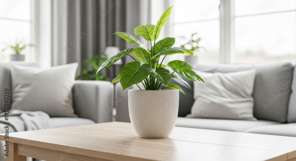 Fototapeta premium Indoor living room with modern furniture, featuring a potted plant on a wooden table and soft cushions on a gray sofa