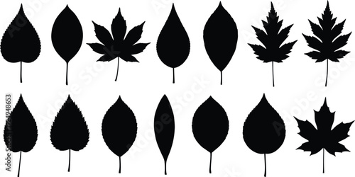 Collection of various leaf silhouettes