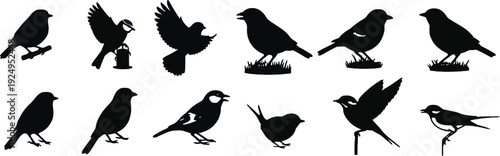 set of silhouettes of birds