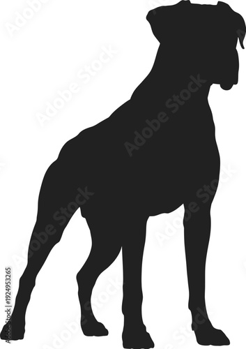 Silhouette of a powerful dog standing on a plain background isolated on white background, Vector, illustration
