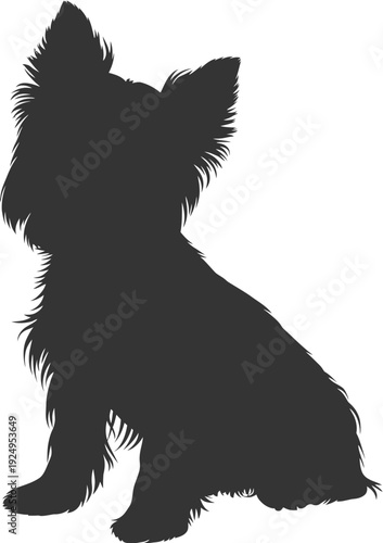 Silhouette of a small dog sitting calmly with perked ears and a fluffy tail isolated on white background, Vector, illustration