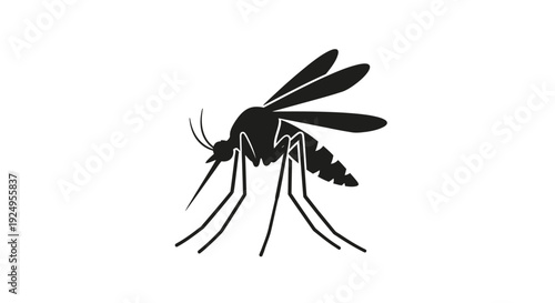 Black and white vector illustration of a mosquito on white background