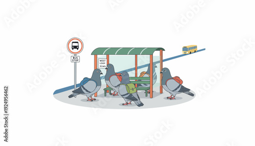 Pigeons Gathering at a Bus Stop Shelter.