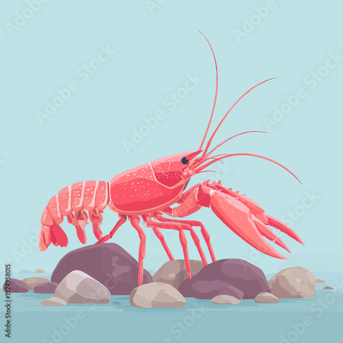 Pink Lobster Standing on Rocks in Water