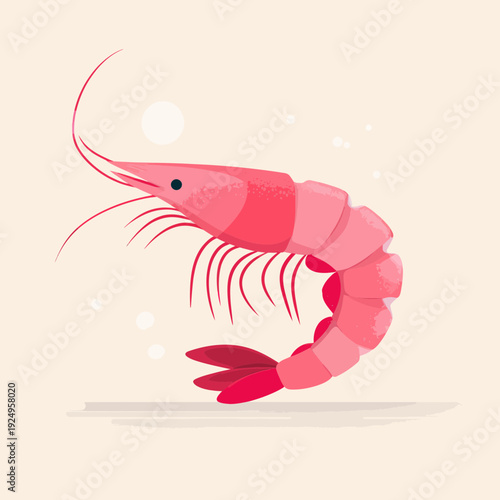 Pink Shrimp Illustration Isolated