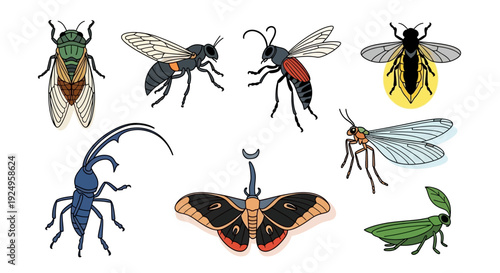 Diverse collection of colorful hand drawn insect species.