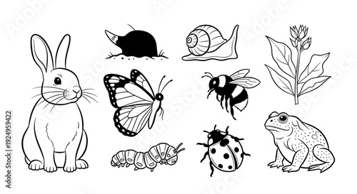 Collection of nature animals and insects, line art.