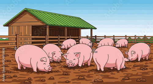 A group of pink pigs foraging in the mud near a rustic wooden barn on a traditional farm