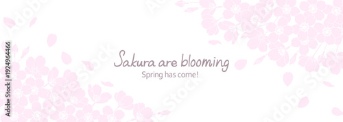 白地に描いた繊細な桜の花のフレームイラスト