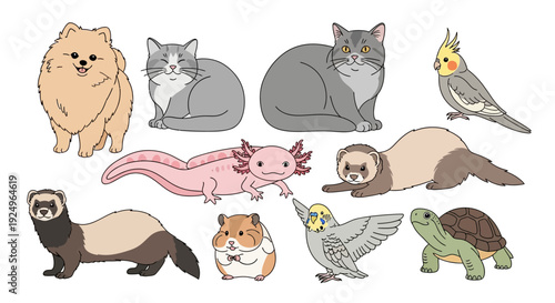 Cute illustration of various pets and animals