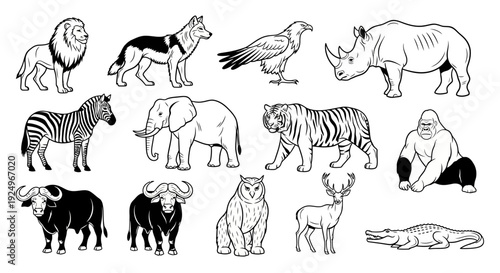 Collection of wild animals in black and white illustration style