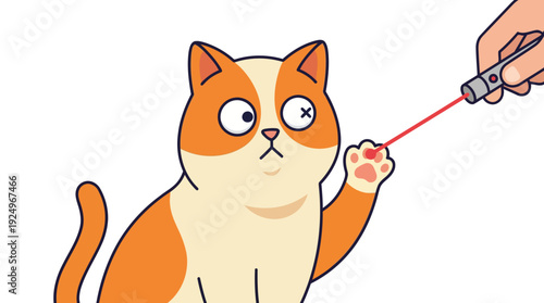 Cute orange and white cat playing with a red laser pointer dot.