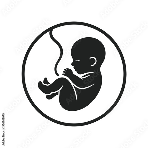 Black and white illustration of a fetus inside a womb with an umbilical cord. isolated on white background, Vector, illustration
