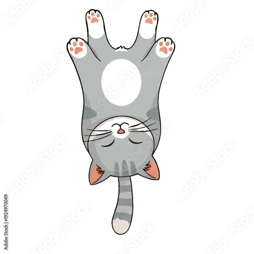 Cute cartoon cat vector illustration sitting with big eyes and fluffy fur