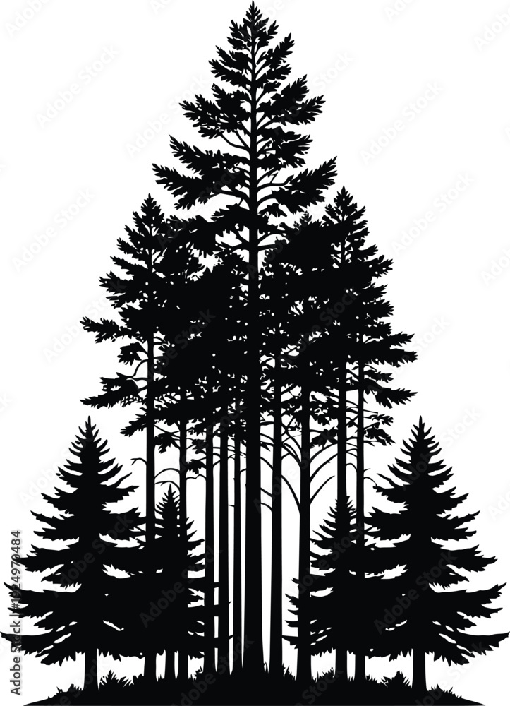 Obraz premium Dense Black Silhouette of an Evergreen Forest Landscape