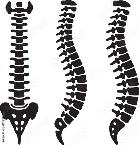 Spine icon set. Simple set of spine vector icons for web design on white background