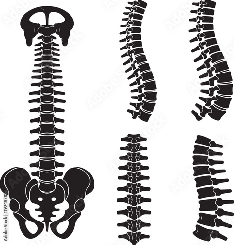 Spine icon set. Simple set of spine vector icons for web design on white background