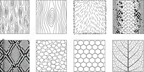 Collection of abstract line art patterns including wood grain animal skin and leaf veins for graphic design backgrounds and textures