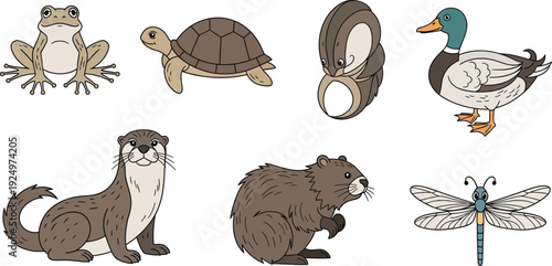 Collection of charming wetland animal illustrations including a frog turtle otter beaver duck and dragonfly perfect for nature-themed designs