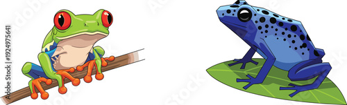 Colorful tropical frogs cartoon vector illustration set isolated on white background wildlife amphibian design