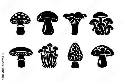 Mushrooms in various shapes and forms for botanical, nature, and food design elements