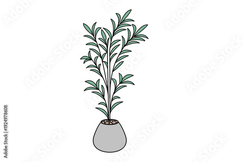 観葉植物　鉢植え　大型1