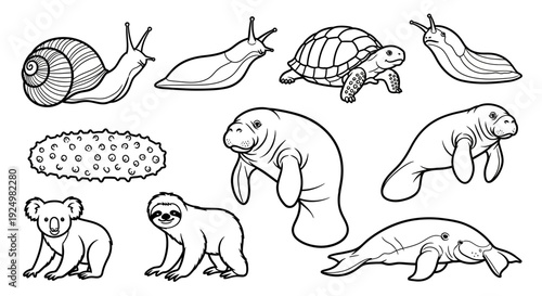 Cute Animal Collection Line Art Illustration for Coloring Book