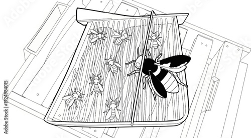 Close-up of a large bee on a hive entrance surrounded by smaller bees