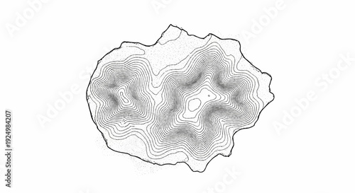 Black and white contour lines illustrating topographic elevation changes on a landmass