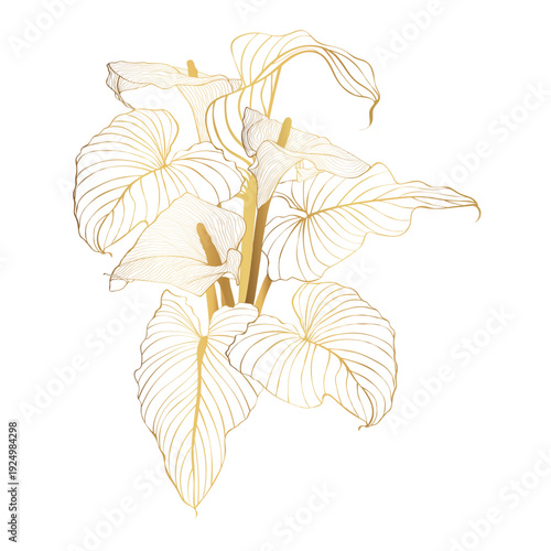 Calla Lily golden line illustration BouquetT, Arum Lily line art.