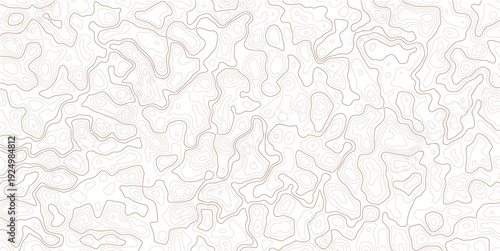 Abstract topographic map illustration with wavy lines and contours on white