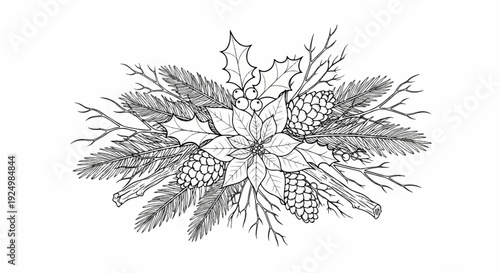 Hand-drawn festive arrangement of poinsettia, pine, holly, berries, cones, and twigs
