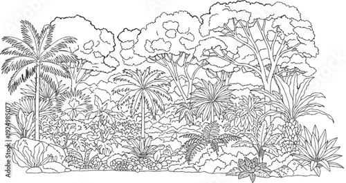 Lush jungle foliage with diverse plants and towering trees forms dense vegetation