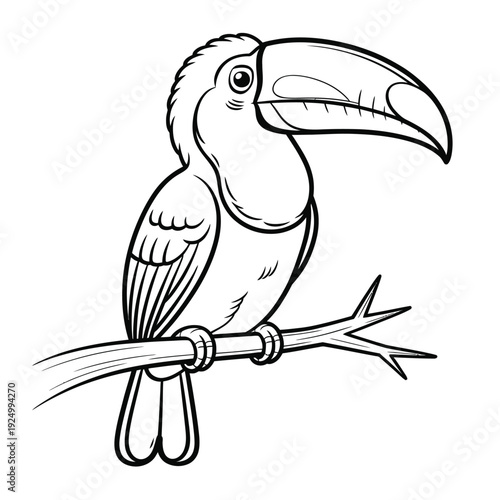 A stylized toucan perched gracefully on a branch in a simple line drawing isolated on white background, Vector, illustration