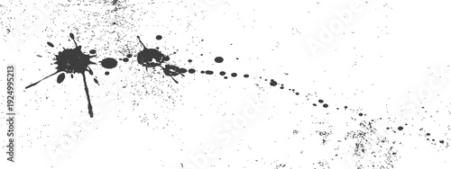 Monochrome black ink splatter and grunge texture overlay Distressed effect background with artistic paint drops on a white surface