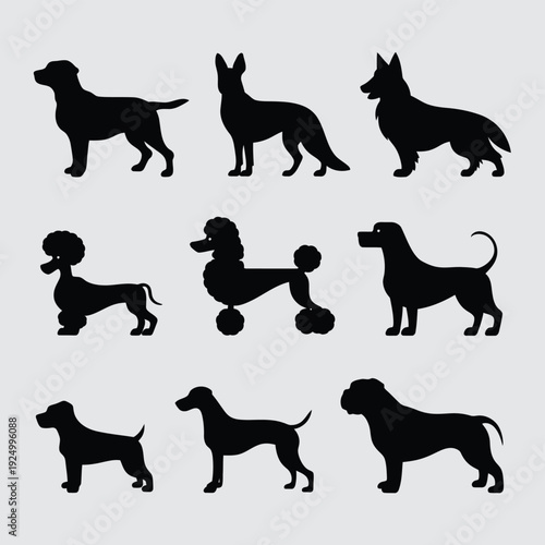 Diverse silhouettes of dogs in various poses and breeds displayed in black and white isolated on white background, Vector, illustration