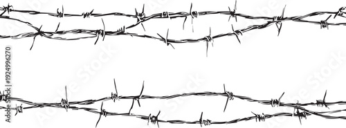 Black barbed wire strands with sharp points on white background
