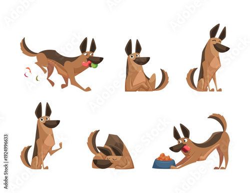 Dog. cartoon dog in action poses. vector pets illustration