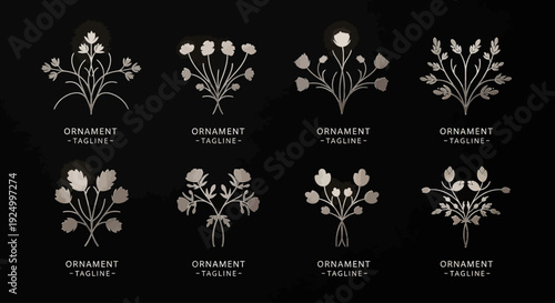 Elegant floral ornaments and botanical emblems on a dark background