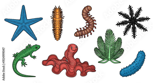 Collection of cartoon sea creatures and animals