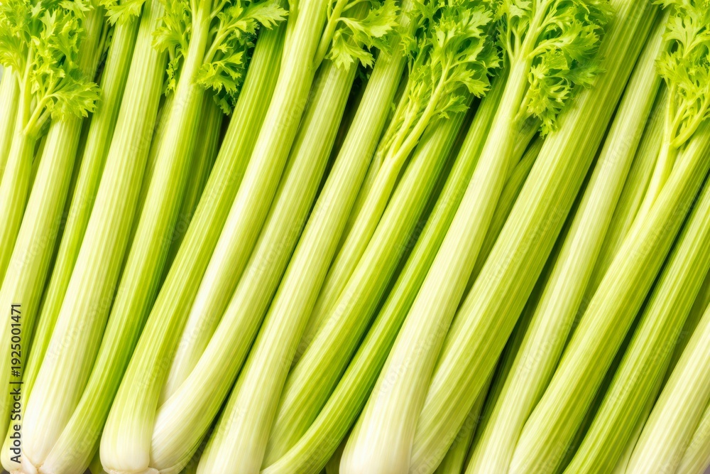 Obraz premium Fresh celery stalks flat lay macro texture top view.