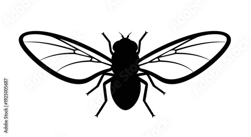 Simple black and white illustration of a fly viewed from above with large wings.