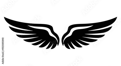 A pair of black wings spread wide against a white background.