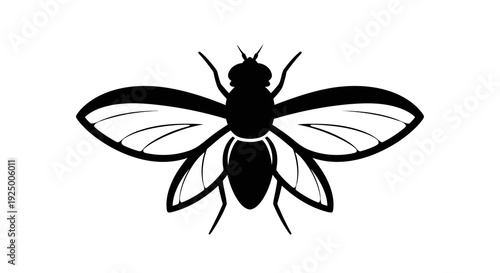 A simple black and white illustration of a fly viewed from above with its wings spread out.