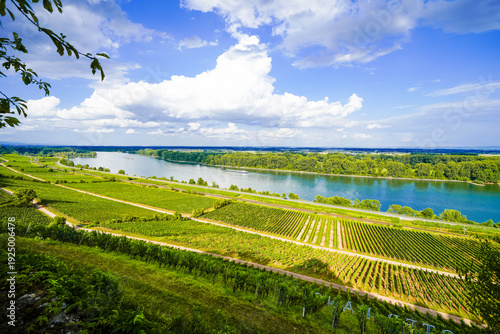 Foto The most beautiful wine view in Rheinhessen 2012 is near Nierstein