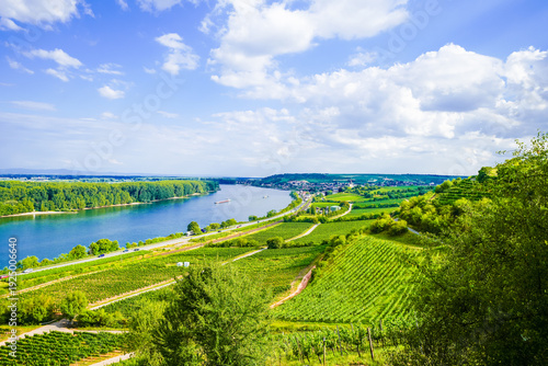 The most beautiful wine view in Rheinhessen 2012 is near Nierstein. A scenic spot with views of the Rhine and the vineyards near Nierstein.
