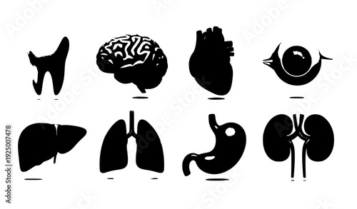 Healthcare 3D organ symbols medical vector pack