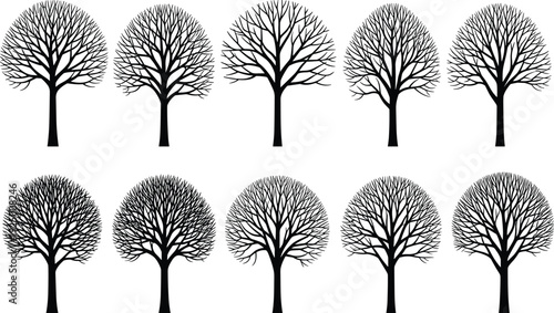 Set of winter tree silhouettes with bare branches, leafless deciduous tree icons, dead wood plants for seasonal nature and landscape design,